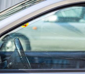 Una trappola mortale per i nostri quattrozampe