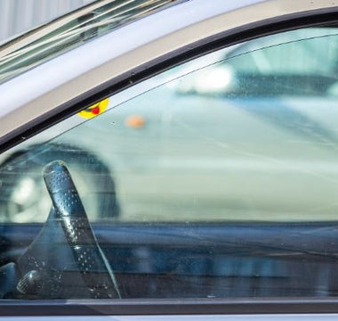 Una trappola mortale per i nostri quattrozampe