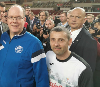 Stelle in campo