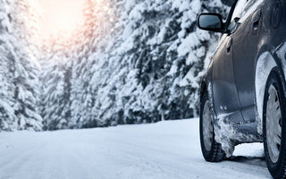 Sulla neve