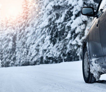 Sulla neve