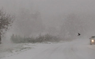 In caso di neve