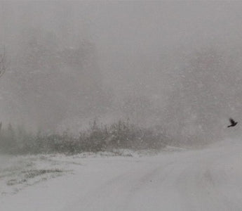 In caso di neve