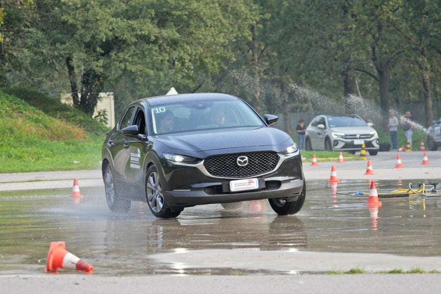 Guida Sicura Aziendale